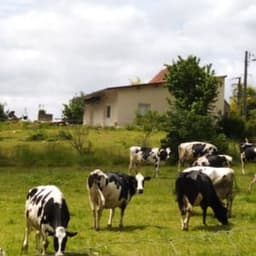 La Ferme des Petits Bois - Fromagerie à la ferme #4