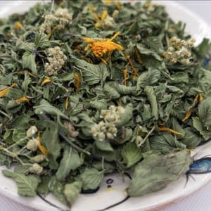 Tisane les fées tonic