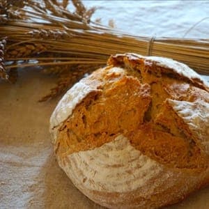 Tourte de meule