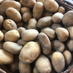 Pommes de terre à purée