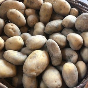 Pommes de terre à purée*