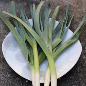 poireau