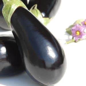 Aubergine