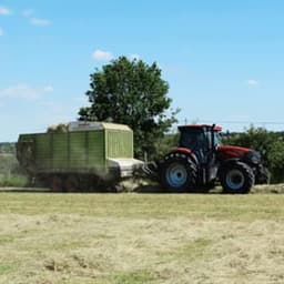 La Ferme de Punault #5