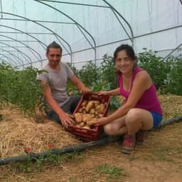 Les Jardins de Boscornut #0