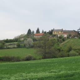 Le pain des Chlorophy-liens #7