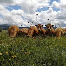 La Ferme du Clapou - Gaec du Clapou #0