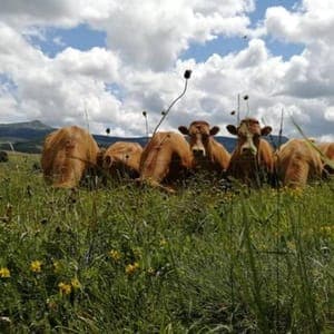 La Ferme du Clapou - Gaec du Clapou