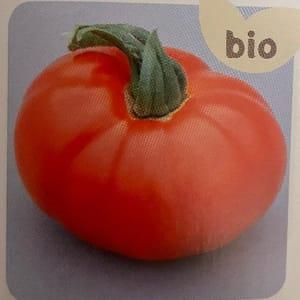 Plant Tomate Marmande