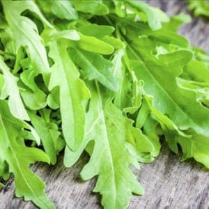 Roquette - 100g