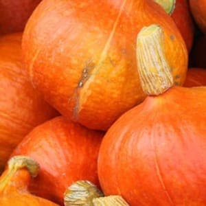 potimarron