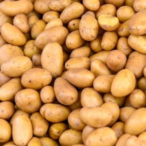 pomme de terre