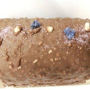 Bûche glacée noisette / praliné