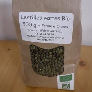 Lentilles Vertes