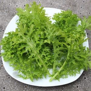 mizuna (salade asiatique)