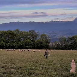 Ferme de savoyères #4