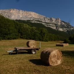 Ferme de savoyères #3