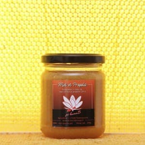 Miel & propolis (préparation)