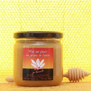 Miel de fleurs de ville
