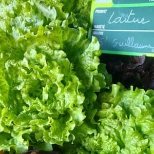 SALADE Bio