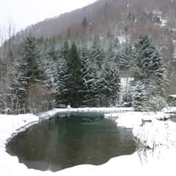 la ferme l'émerillon pisciculture de la Fajolle #3