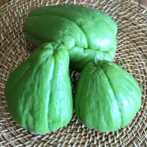 Chayote/Christophine