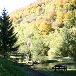 la ferme l'émerillon pisciculture de la Fajolle #2