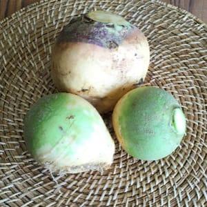 Rutabaga