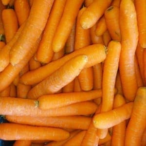 Carottes