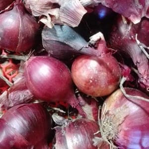 OIGNONS ROUGES