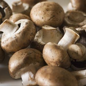 Champignons bruns de Paris