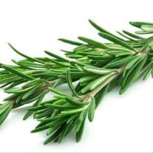 Herbes aromatiques ROMARIN