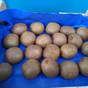 Kiwis de France bio