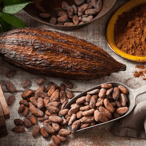 zz Eclats de fèves de cacao