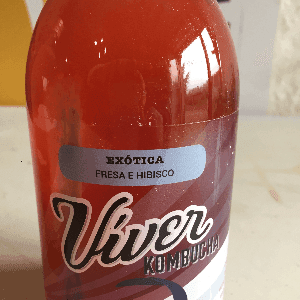 zz Kombucha exotique Viver - Fraise Hibiscus bio