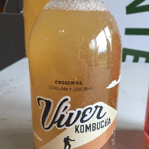 zz Kombucha gingembre curcuma Viver Bio