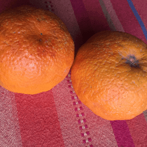 zz Orange douce