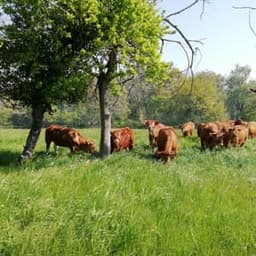 Ferme de Ligogne #4