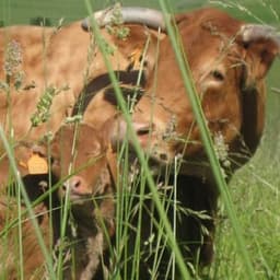 Ferme de Ligogne #4