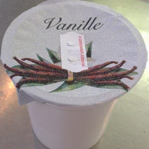 Yaourt Vanille (2x125g)