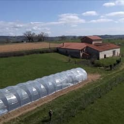 La Ferme de l'Oasis #2