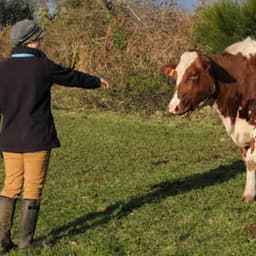 La Ferme des Bons Enfants #2