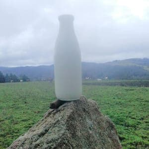 Lait de vache cru