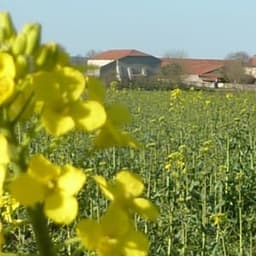Ferme d'Ormes #6