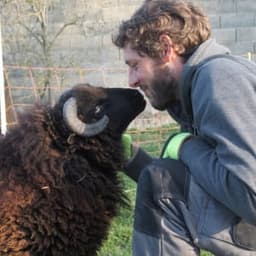 La ferme du petit tracteur #2