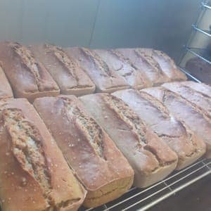 pain de petit épeautre-sarrasin PUR LEVAIN