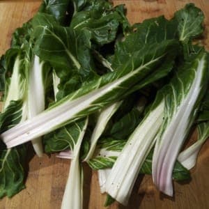 Jeunes Blettes Le Potager du Coin