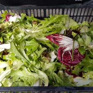 Salade en mélange