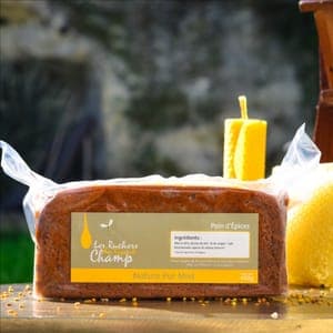 Pain d'épices nature 450 g