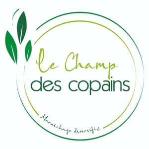 Le champ des copains